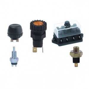TRUCK ACCESSORIES & PARTS - SWITCHES/BUTTONS & FUSE BOX