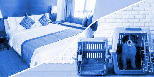 HOME & TEXTILE & PETSHOP & HOBBY & LIFE PRODUCTS